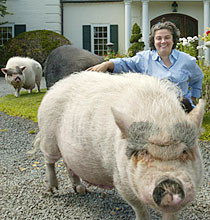 SE ABURREN O NO EN EL PARLAMENTO