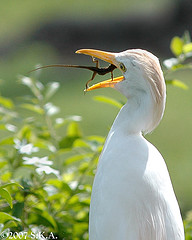 LOS VIERNES ME PONGO FILOS&Oacute;FICO