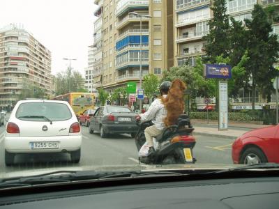 RONDA NORTE. MURCIA.