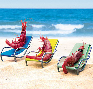 EL ENGA&Ntilde;O DE LA GAMBA PELADA